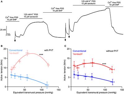 Increased Contractile Function of Human Saphenous Vein Grafts Harvested by “No-Touch” Technique